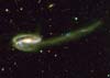Галактика UGC10214 
            (19кб)