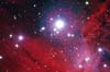 NGC 2264: звезды, пыль, и газ 
            (58кб)