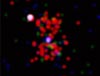 3C294: далекое рентгеновское скопление галактик  
            (10кб)